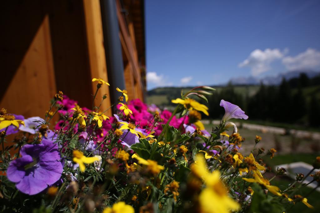 Floralpina 4*